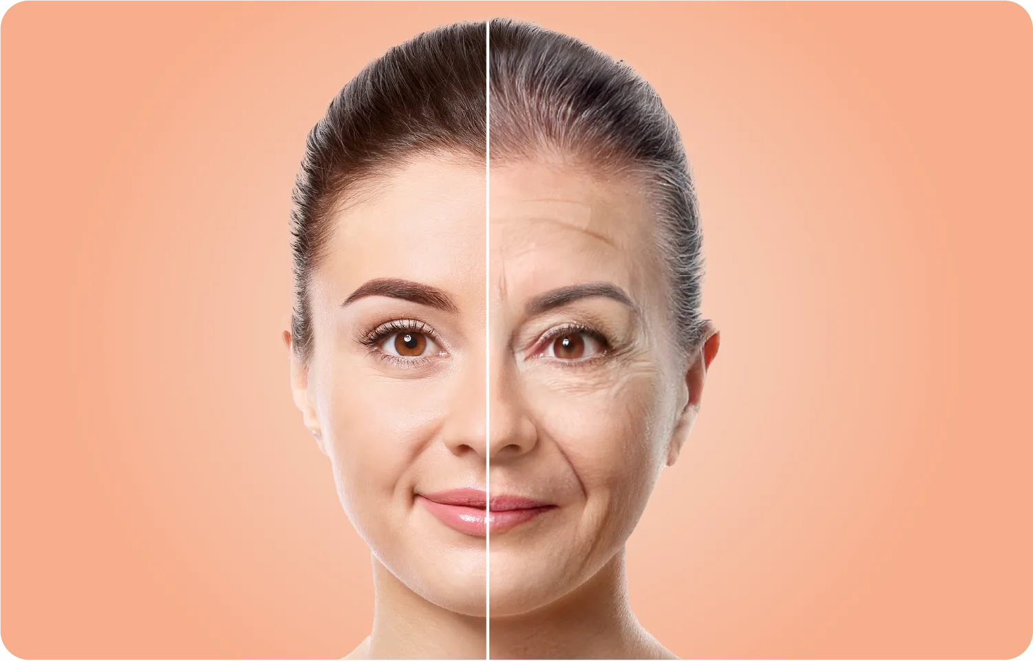 Skin Aging Process